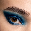 Royal Peacock